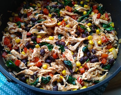 The-Dude-Diet-Skinny-Chicken-Enchiladas-Filling