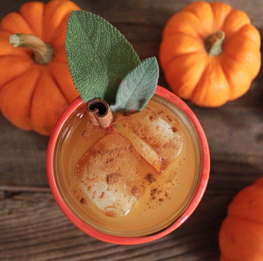 Spiced-pumpkin-punch-with-bourbon-3