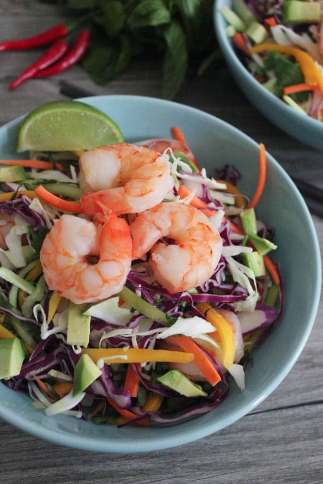 thai-summer-roll-salad-with-shrimp-and-mango-3