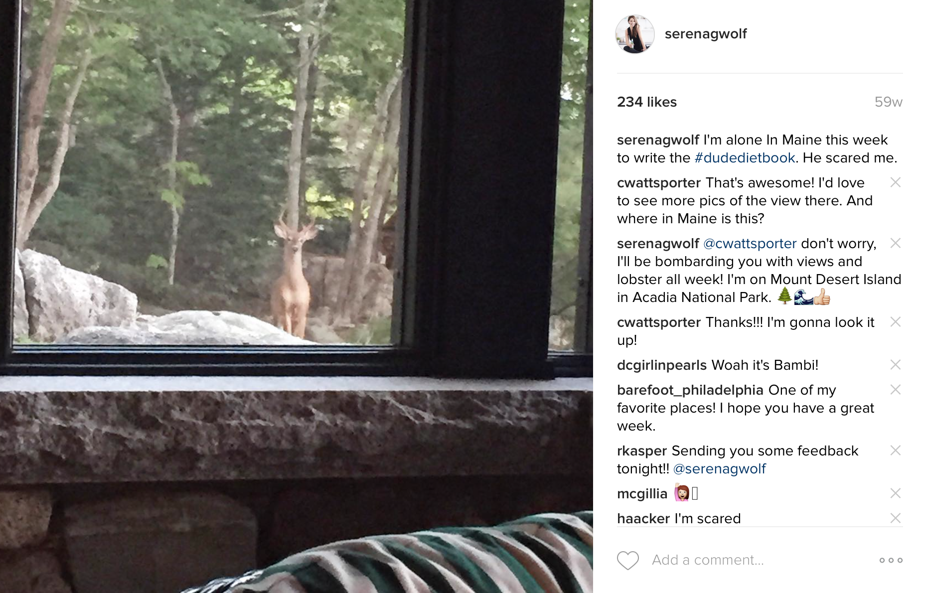 The-Dude-Diet-Writing-the-cookbook